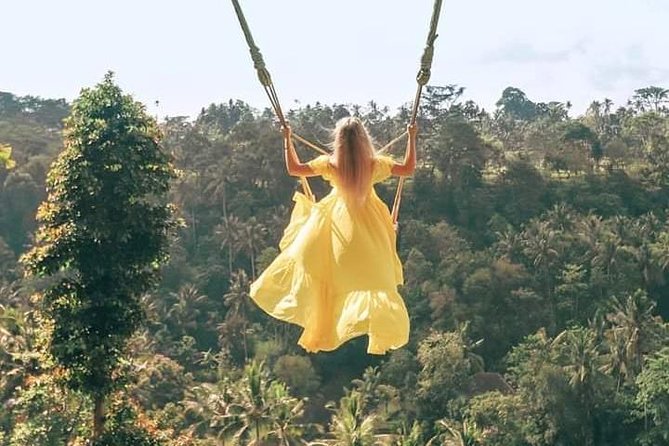 Ubud and East Bali Private Instagram Highlights Tour - Private Driver/Guide