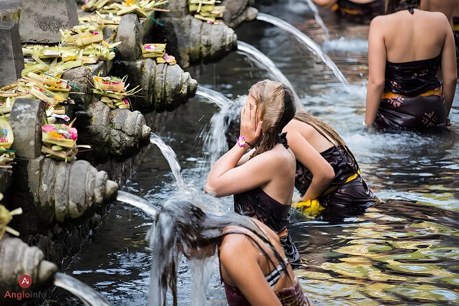 Ubud and Holy Water Temple Full Day Private Tour - Pricing and Booking Details
