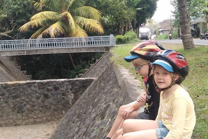 Ubud and Kintamani Day Trip With Bike Ride - Inclusions and Pickup Details