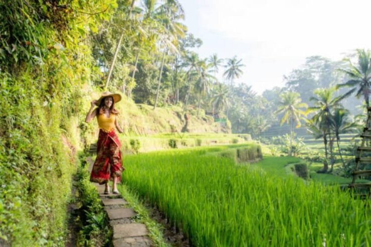 Ubud and Kintamani With Holy Water Temple Private Tour - Good To Know