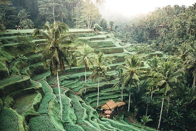 Ubud and Surrounding Tour - Tour Inclusions
