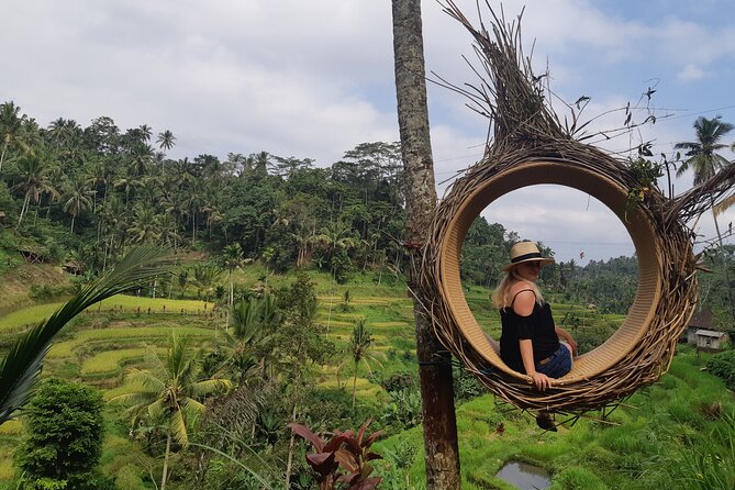 Ubud Area Full Day All Inclusive Private Tour - Meeting and Pickup Information