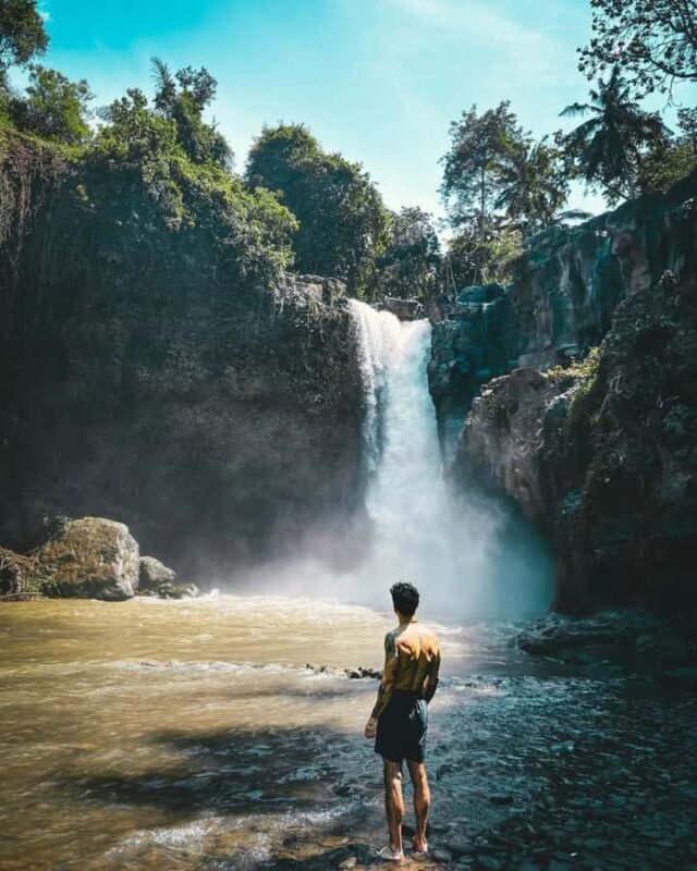 Ubud: Art & Nature Tour with Waterfall and Glass Bridge - Good To Know