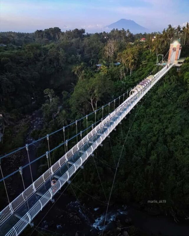 Ubud: Art & Nature Tour with Waterfall and Glass Bridge - Who Will Love This Tour?