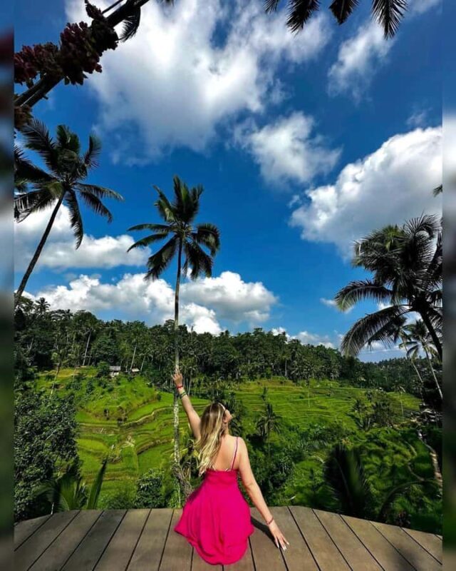 Ubud: Artistic Adventure, Sacred Monkeys, and Rural Peace - A Deep Dive into the Ubud Tour Experience