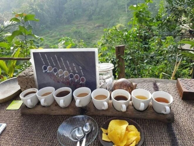 Ubud: Arts Village, Monkey Forest, Swing, Coffee Plantation - Important Information