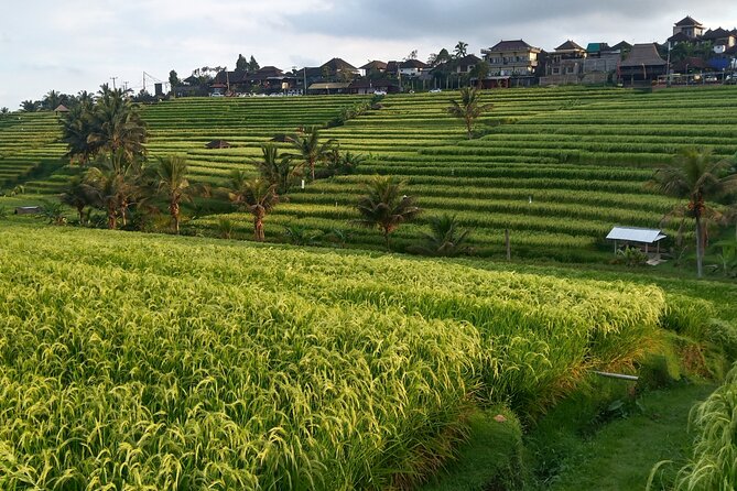 Ubud : ATV Bali Quad Bike Adventure - Cancellation Policy