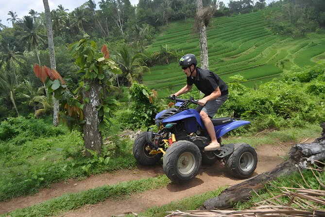 Ubud ATV, Besakih Temple, and More: Private Tour With Lunch - Seminyak - Tour Highlights and Itinerary