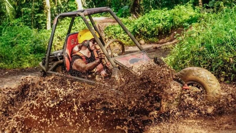 Ubud: ATV Jungle Buggy and Paintball Adventure with Lunch - Ubud: ATV Jungle Buggy and Paintball Adventure with Lunch — A Balanced Look at Bali’s Outdoor Thrill