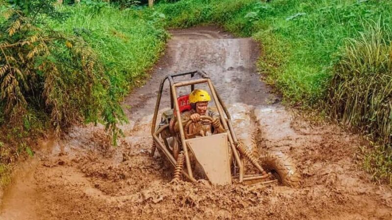 Ubud: ATV Jungle Buggy and Paintball Adventure with Lunch - The Sum Up