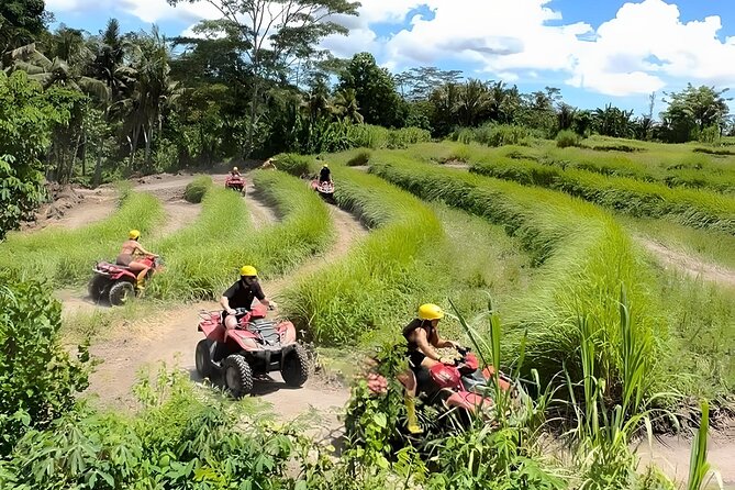 Ubud : ATV Quad Bike Adventure Guided Tour - Price and Booking