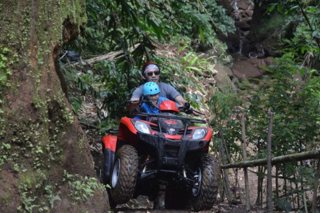 Ubud; ATV Quad Bike Adventure With Gorilla Statue - Activity Information