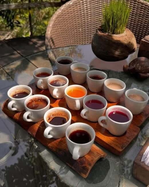 Ubud: ATV Quad Bike, Rafting, and Infinity Pool Tour - Who Will Love This Tour?