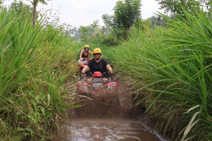 Ubud : ATV Quad Bike With Jungle Swing Experience - Experience Highlights Overview