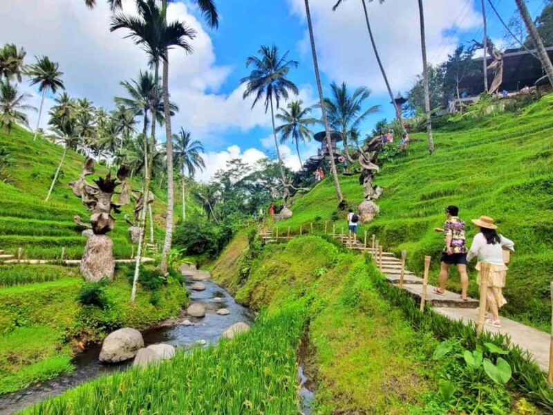 Ubud: ATV Quad Bike, Zip-Line & Alas Harum Tour - Who Should Consider This Tour?