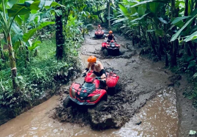 Ubud: ATV Quad Bike, Zip-Line & Alas Harum Tour - The Sum Up
