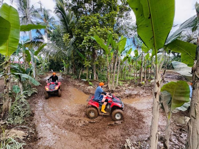 Ubud: ATV Quad Biking, Temple & Tibumana Waterfall Tour - Good To Know