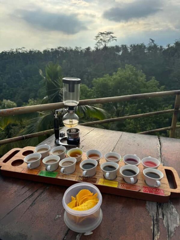 Ubud: ATV Ride, Holy water Temple, and Coffee Tasting - Ubud: ATV Ride, Holy Water Temple, and Coffee Tasting — An Authentic Bali Experience