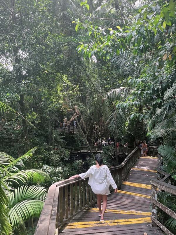 Ubud: ATV Ride, Monkey Forest, and Tegalalang Rice Terrace - FAQ