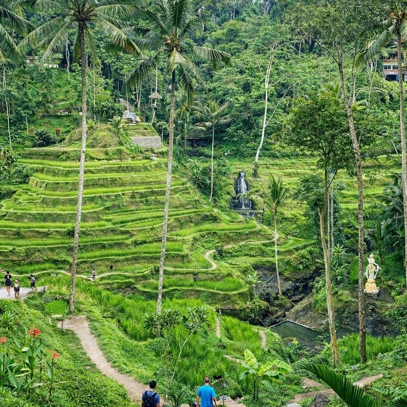 Ubud ATV Ride, Rafting, and Jungle Swing - Should you book the Ubud ATV and activity package?