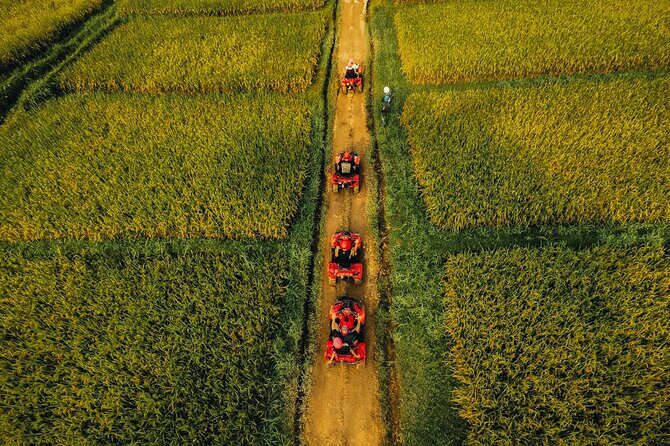 Ubud ATV Ride through River Jungle Rice Fields Puddles - Who Will Love This Tour?