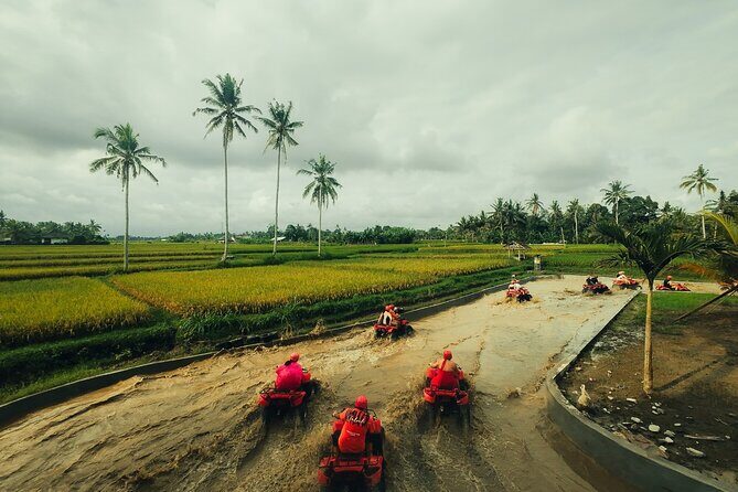 Ubud ATV Ride through Waterfall and Tunnels - What to Expect from the Ubud ATV Ride through Waterfall and Tunnels