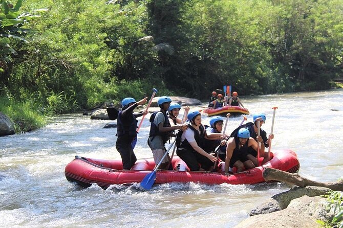 Ubud ATV Tunnel Waterfall and Ayung River Rafting - What To Expect