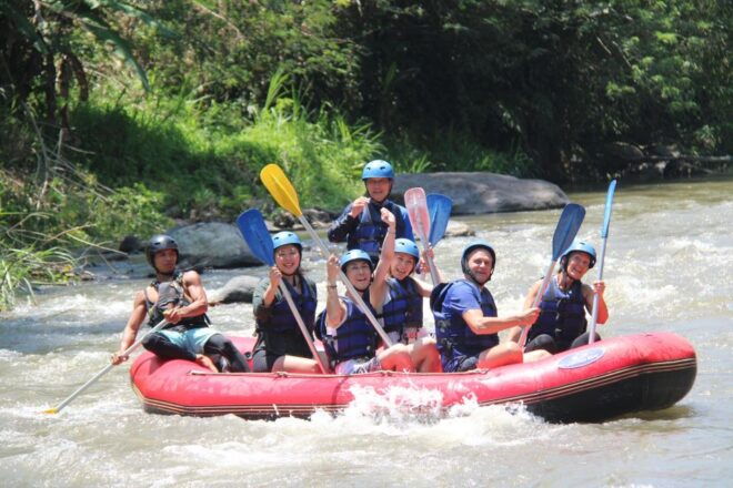 UBUD: Ayung Rafting Adventure With Lunch Without Transport - Positive Reviews