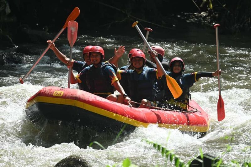 Ubud: Ayung River Guided Rafting Adventure with Lunch - The Sum Up
