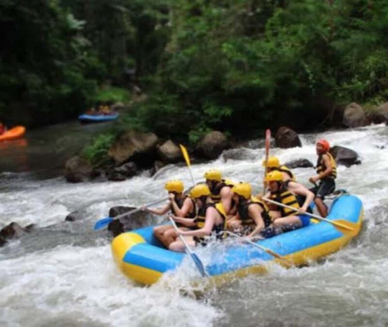 Ubud: Ayung River Rafting Adventure Lunch - The Experience: What Makes It Special