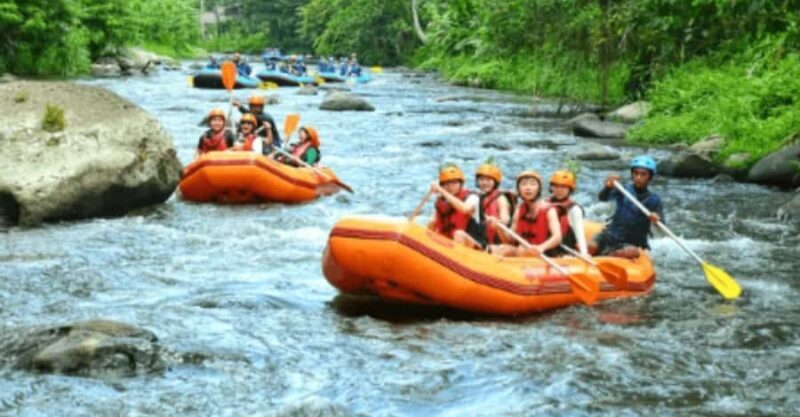 Ubud: Ayung River Rafting Adventure with Lunch and Transport - An In-Depth Look at the Ubud Ayung River Rafting Experience