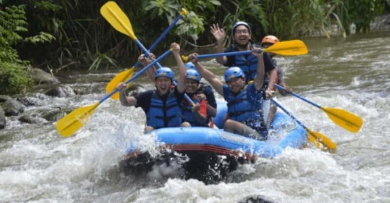 Ubud: Ayung River Rafting Adventure with Lunch and Transport - Good To Know