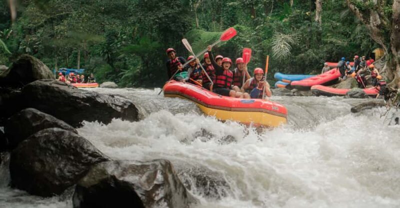 Ubud: Ayung River Rafting Adventure with Lunch and Transport - An Authentic Bali Adventure: The Real Deal