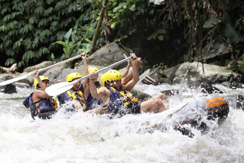 Ubud: Ayung River Rafting Include Lunch - Authentic Insights from Past Participants
