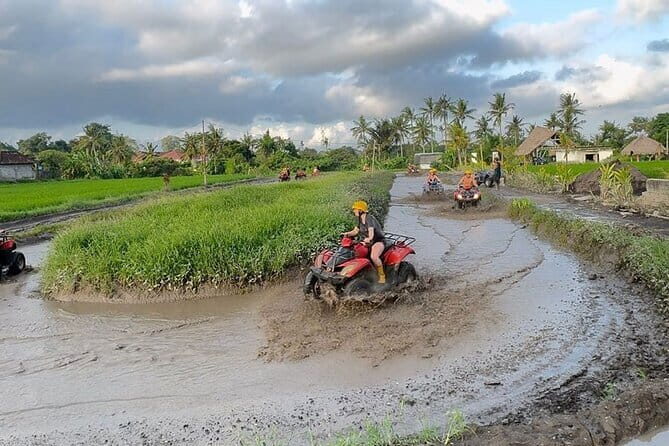 Ubud Bali ATV Quad Bike Adventure - An Authentic Bali Landscaping Adventure