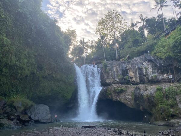 Ubud Bali: Cultural Escape,Art ,Nature,and Tradition in Ubud - Inclusions and Restrictions