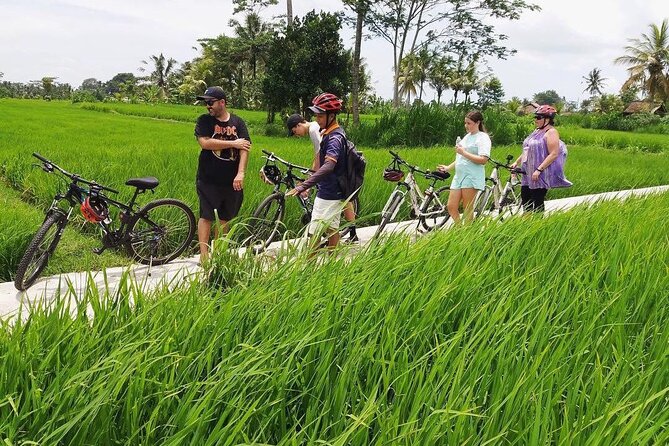 Ubud Bali Cycling Tour All Include - Tour Highlights