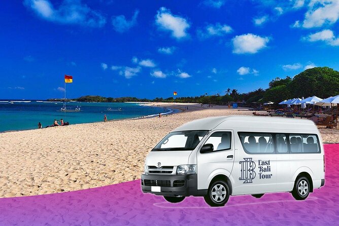 Ubud Bali Driver ( Custom Tour) - Overview of the Service