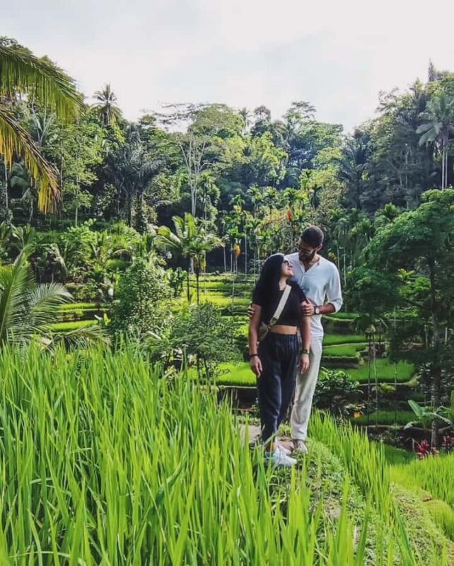 Ubud Bali: Half Day Tours - Good To Know