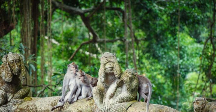 Ubud Bali: Highlight Private Tour With Hotel Transfer - Tour Highlights