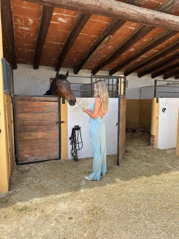 Ubud-Bali: Horseback Riding Tour with Wine & Panomaric View - What’s Included and What to Expect from the Tour