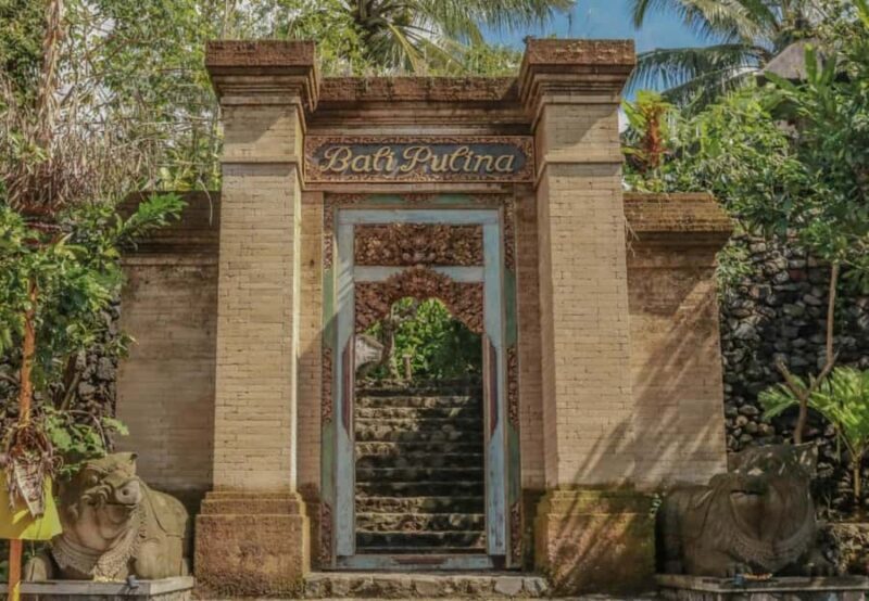 Ubud: Bali Pulina Tour with Swing & Tegallang Rice Terrace - Introduction: What to Expect from the Tour