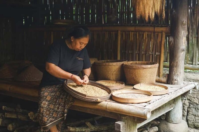 Ubud: Bali Pulina Tour with Swing & Tegallang Rice Terrace - The Jungle Swing: An Adventure with a View