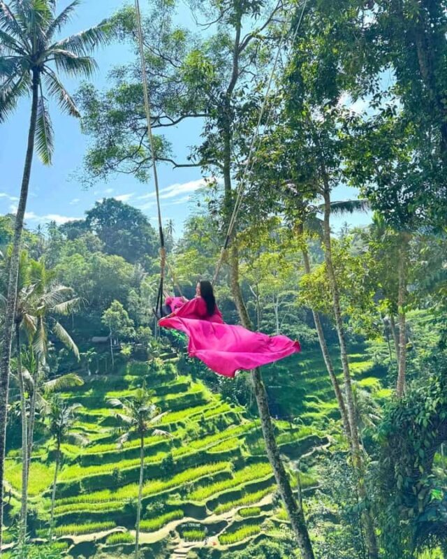 Ubud Bali: Sacred Monkey Forest, Waterfall & Swing Day Tour - Good To Know