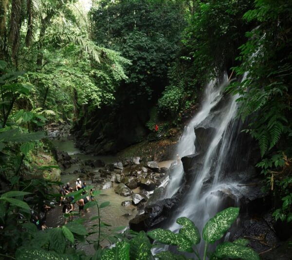 Ubud: Bali Swing Hidden Waterfall With Personal Photographer - Tips for Your Visit