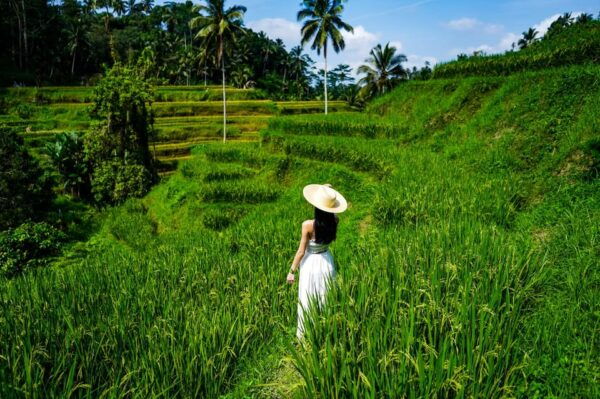Ubud: Bali Swing Hidden Waterfall With Personal Photographer - Why Choose a Personal Photographer