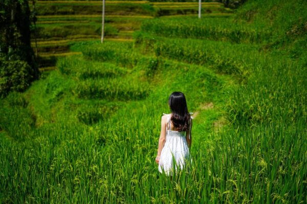 Ubud: Bali Swing Hidden Waterfall With Personal Photographer - Questions You May Have