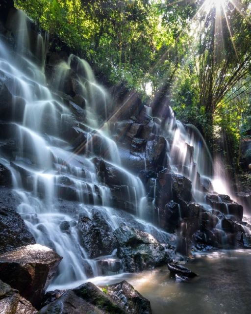 Ubud: Bali Swing, Monkey Forest, Waterfall Tour & Lunch - Highlights of the Tour