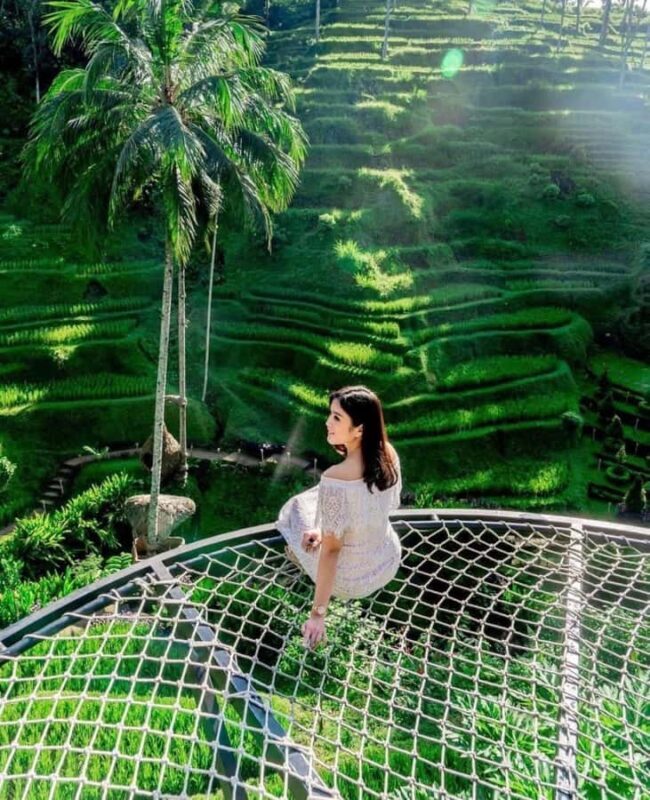 Ubud: Balinese Cooking Class with Ubud Tour Option - An In-Depth Look at the Ubud Cooking Class & Tour