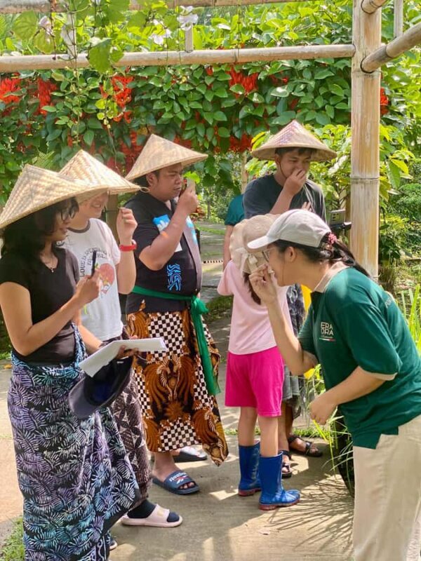 Ubud: Balinese Culture and Farming Experience with Lunch - Ubud: Balinese Culture and Farming Experience with Lunch